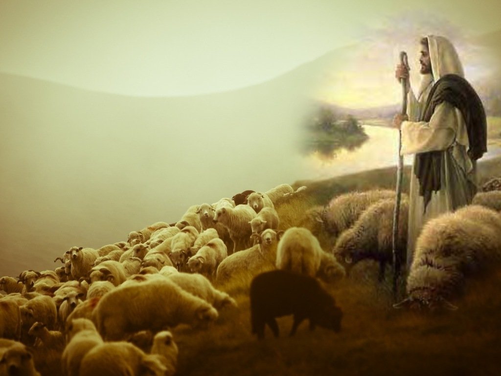 the-sheep-of-his-pasture-part-two-shepherding-all-gods-creatures